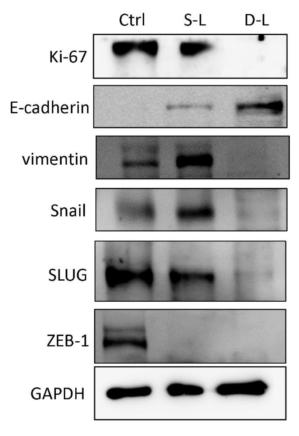 hor-aid1024-g003